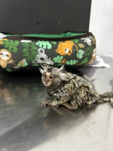 WhatsApp Image 2026 01 23 at 22.38.51