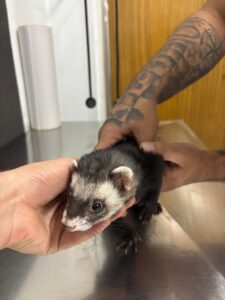 WhatsApp Image 2026 01 23 at 22.38.53 1