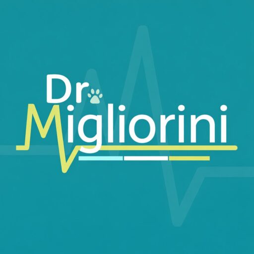 whatsapp image 2026 01 21 at 22.29.40