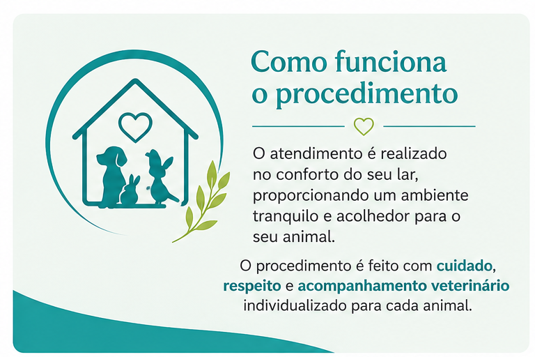 01 como funciona