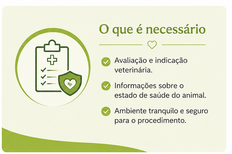 02 o que e necessario