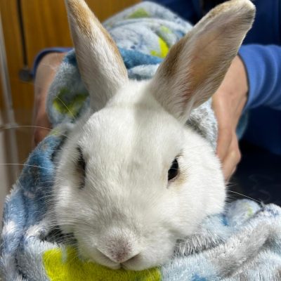 WhatsApp Image 2026-01-23 at 22.38.51 WhatsApp Image 2026-01-23 at 22.38.51