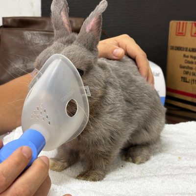 WhatsApp Image 2026-01-23 at 22.38.52 WhatsApp Image 2026-01-23 at 22.38.52